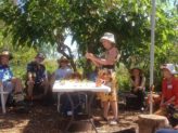 Bellingen Seed Savers - demo