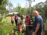 Bellingen Seed Savers -  garden visit