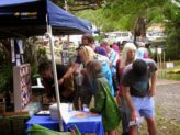 Bellingen Seed Savers at the plant fair